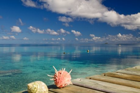 immersioni in Polinesia