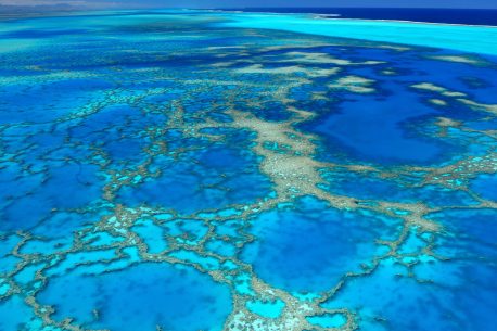 Vacanza per subacquei Nuova Caledonia