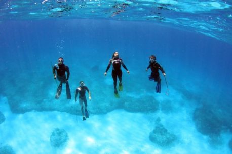 Viaggio diving Bahamas